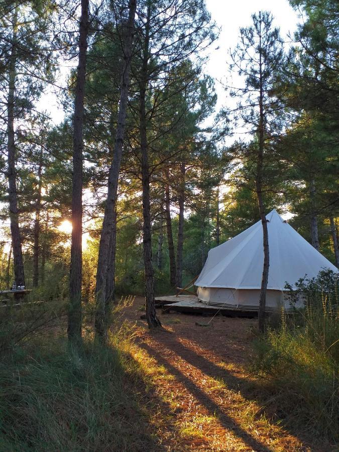 Forest Days Navés Eksteriør bilde