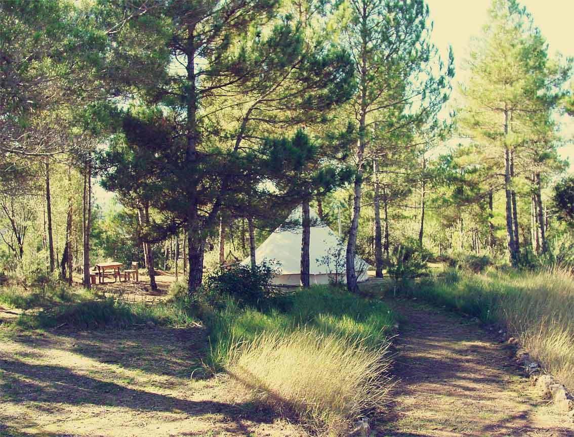 Forest Days Navés Eksteriør bilde